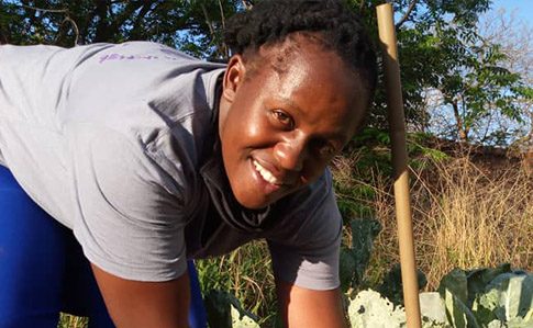 Agriculture Guide training takes place across Zimbabwe