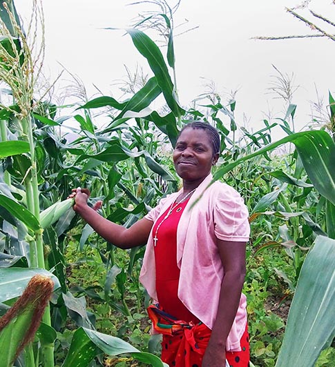 Girls’ education and regenerative agriculture: CAMFED on 2040 Film panel