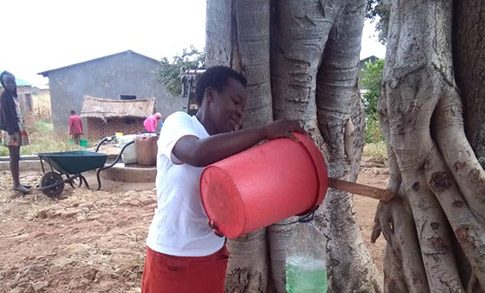 News_feature_-_Lynette_CAMA_ZIM