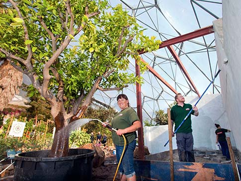 Staff at the Eden Project prepare the CAMFED Garden Staff at the Eden Project prepare the CAMFED Garden