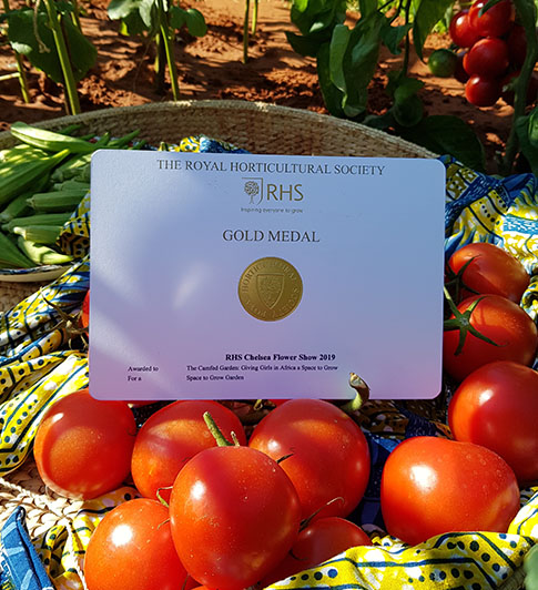 Gold medal for CAMFED Garden at RHS Chelsea Flower Show