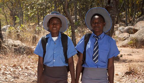 The-unsung-hero-in-tackling-climate-change-news-feature