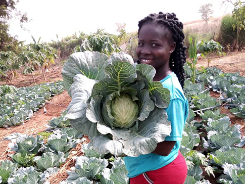 Olivia with her cabbage harvest