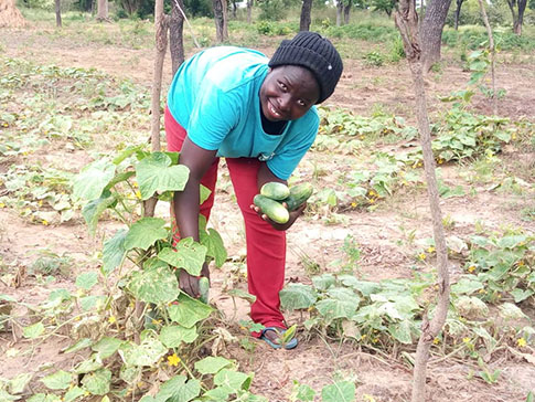 Olivia picking cucumbers