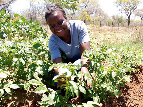 Beauty is cascading her knowledge of climate-smart farming to women in Zimbabwe