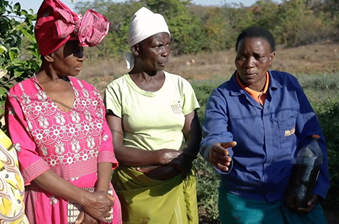 CAMFED - UN Global Climate Action Award | Narrated by Stella McCartney
