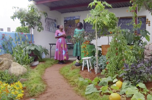 The CAMFED Garden at Chelsea - Highlights Video