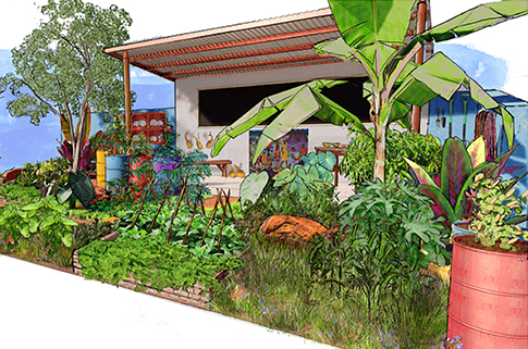 CAMFED-Garden-Thumbnail