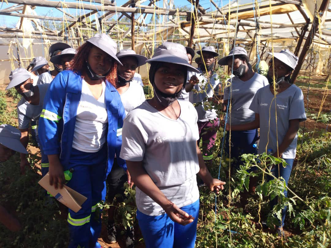 CAMA-Zim-Shurugwi-Agriculture-Guide-Training_Sinikiwe-Makove_WhatsApp Image 2020-10-15 at 14.42.37