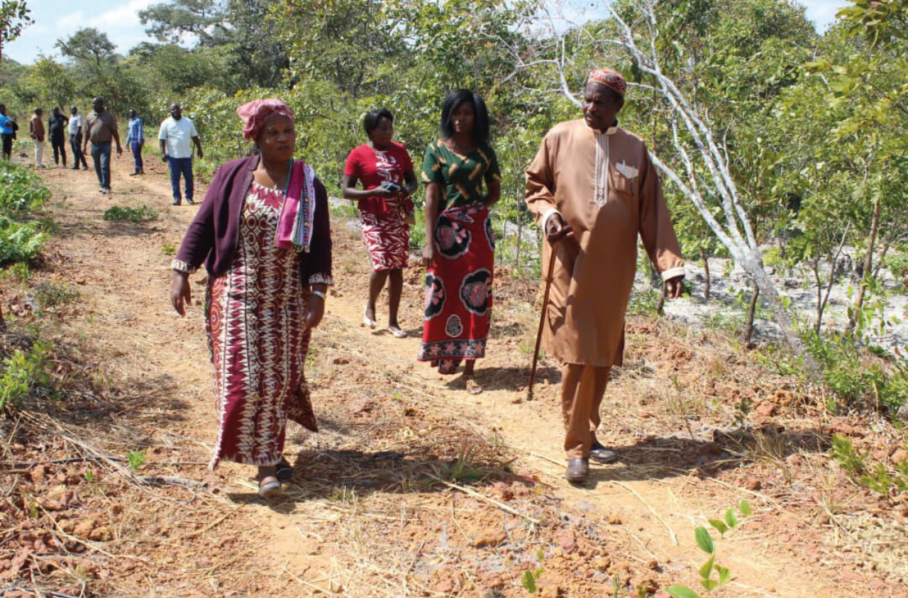 feature-block_chief-nkula-and-dorothy-kasanda-chinsali-farm