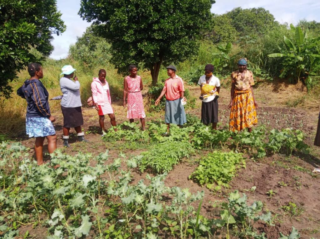 Mothers at the school farm