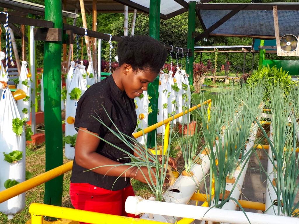 Forget-Shareka-548615-CAMA-ZIM-Agripreneur-EARTH-University-Costa-Rica-Precious-Nemutenzi-2018_WhatsApp Image_3