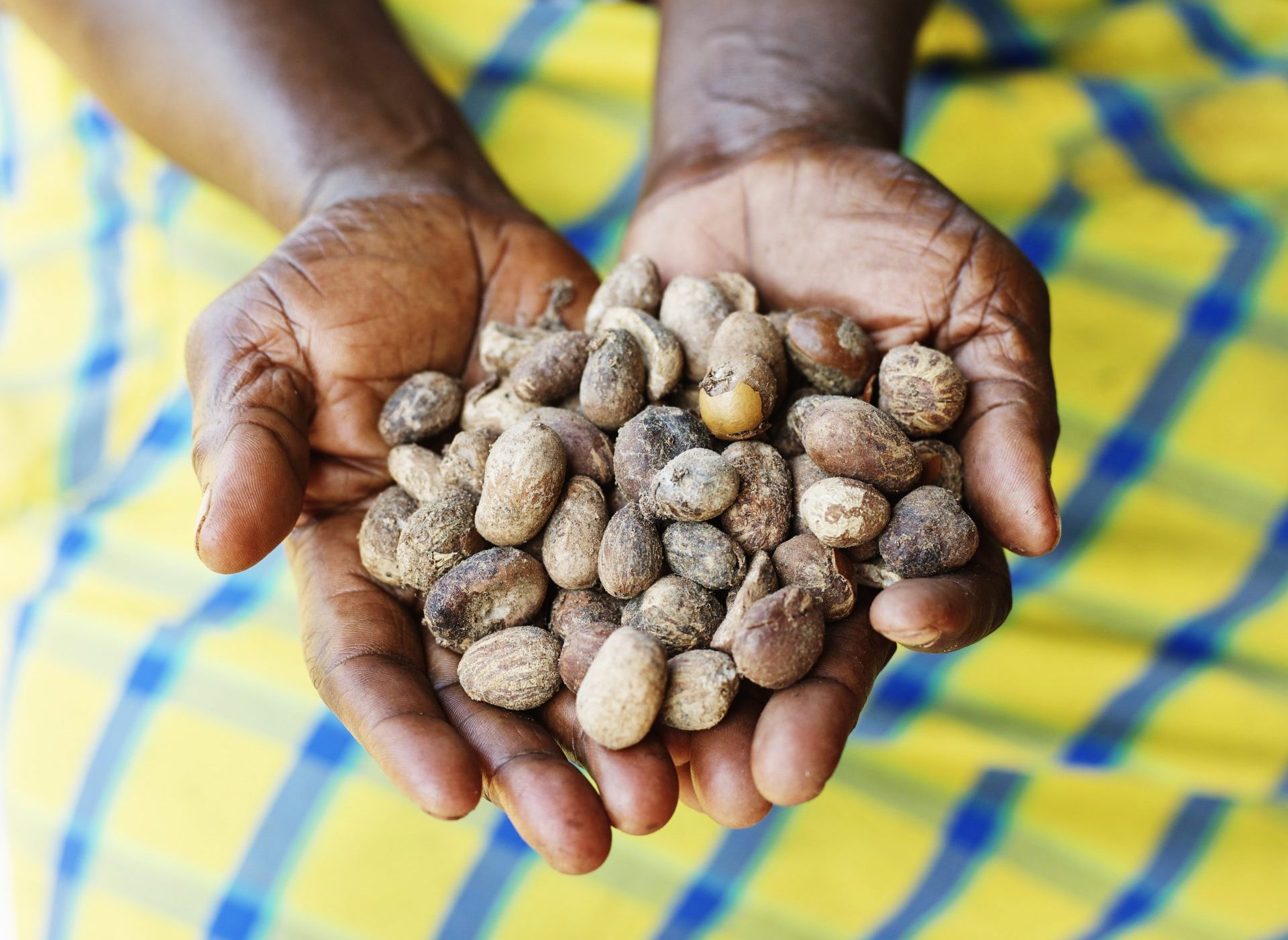 Asheba-Enterprise-Shea-Butter-production-Tamale-GH-Mark-Read-Nov-2019-427