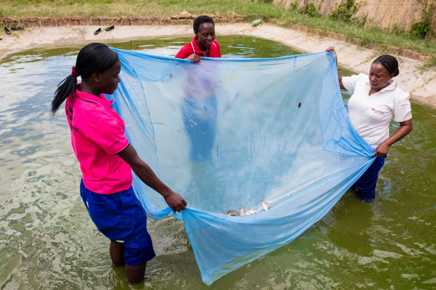 These young women entrepreneurs could make all the difference for Zimbabwe