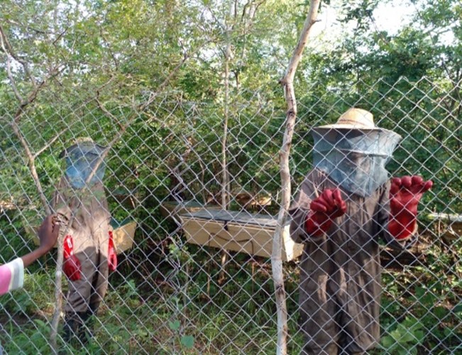 Apiarist Caroline from Ghana with one of her employees