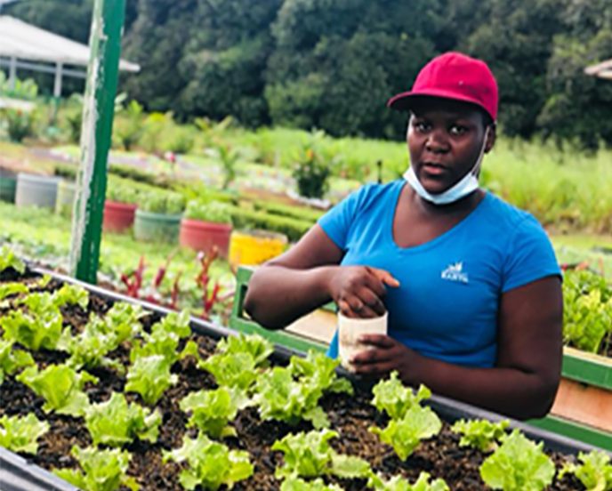 Tawonga-Zakeyu-Daudi-126043-CAMA-planting-Tertiary-Earth-University-Machinga-MW