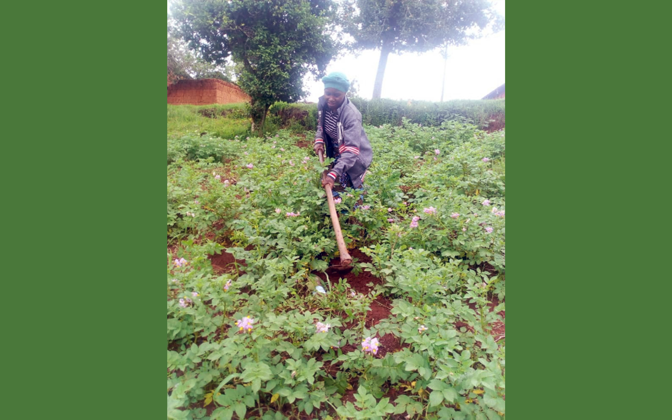 Zeolia-Mlimakifi-53167-CAMA-Business-Guide-Kilolo-TZ-King-Philanthropies-April-2022