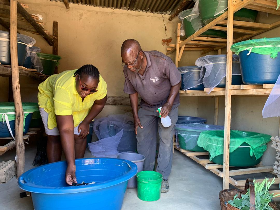 Esnath Divasoni with her parents at her cricket farm in Marondera, Zimbabwe