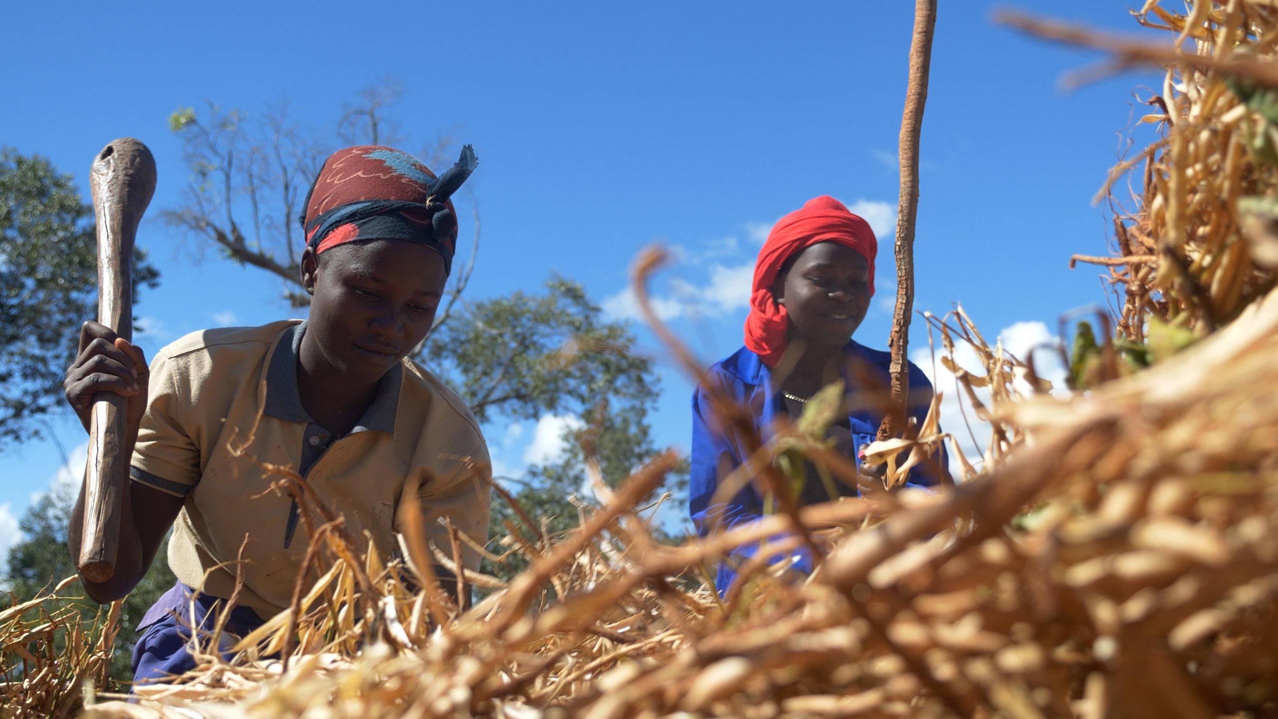 CAMA-Agriculture-Guides-Chinsali-ZAM-June-2022_Ufulu-Studios-Photo-2