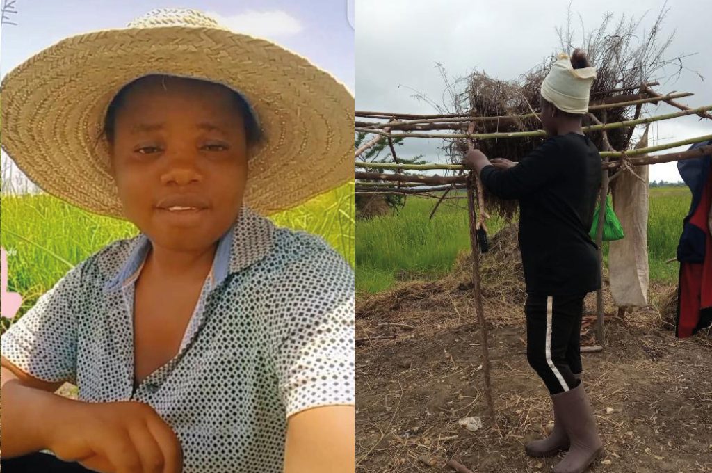 Rehema builds a sun-shade at her farm. 