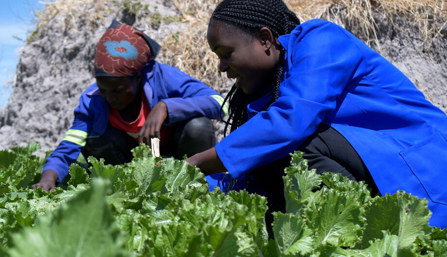 Naomi-Chanda-152039-CAMA-AG-lettuce-demo-farm-Chinsali-ZAM-June-2022_Ufulu-Studios