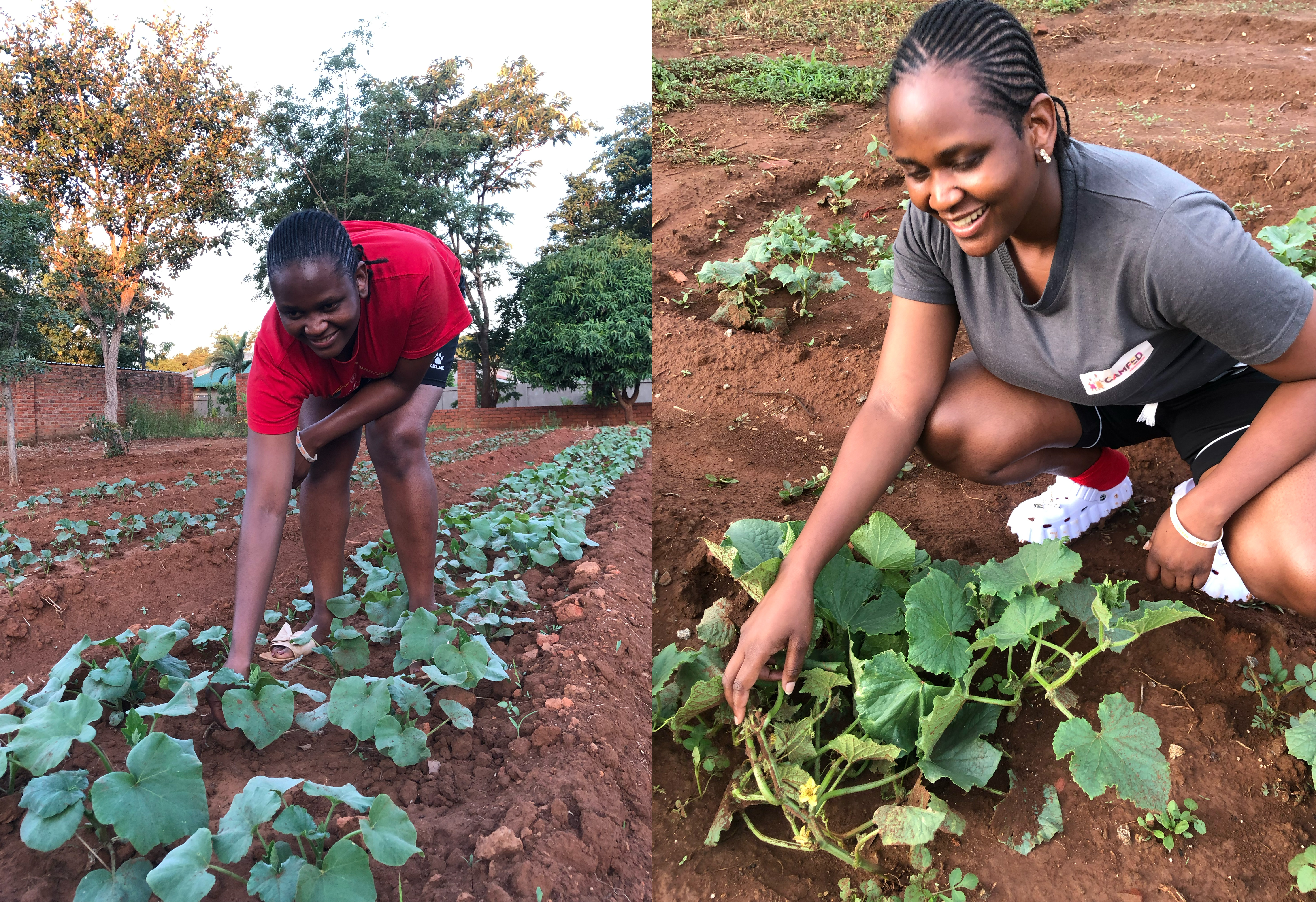 Two side-by-side photos of Grace, a Zimbabwean woman, tending crops on her farm. In the left photo, she wears a red T-shirt; in the right, a grey T-shirt. She is smiling in both images.
