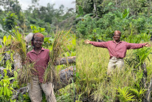 Blessing, a smiling Ghanaian woman at her farm holding her crops.